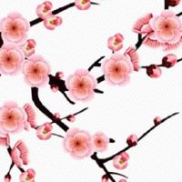 属相第一运程:2022年9月17日特吉生肖运势解说