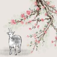 在第91次,老人婚姻是最好的。