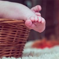 寅2022白白双双双双推推