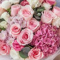 2022年6月30日订婚好不好 今日提亲大吉吗