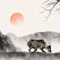 85年属牛37岁2022劫难 制定财运规划结合实际情况