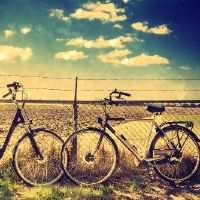 这匹马的一些生日，黄道十二生马是出色的