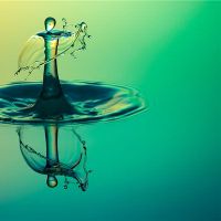 你梦到了什么？