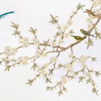 女人非常难得的十大吉祥手相 有遇贵纹多贵人