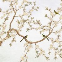 手掌纹很乱的女人命好吗 事业线错综交杂代表什么