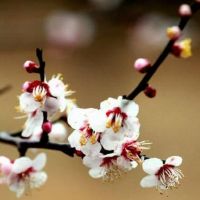 让夫妻亲密无间的窍门