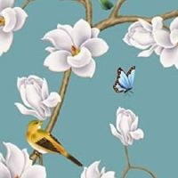 好命的女人手相 分析 有公印纹手背上有痣的手相