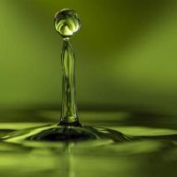 Tanaz：重写明星百亮之星的故事