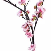 特吉生肖运势解读:2022年9月21日十二生肖幸运指数