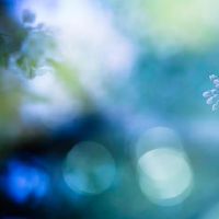 思宇姐姐学者一周的财富(4.25-5.1)