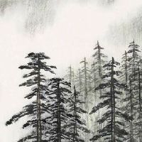 2022年父亲节出生的宝宝好吗 福分之命 大富大贵