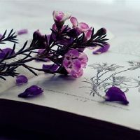 大多数芋头周是财富（4.25-5.1）