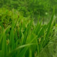 揭开四个主要血型师的交换