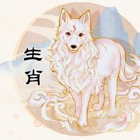 马匹和狗没有与黄道十二生肖人格分析一体化