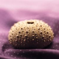 Kiddo Aquarius一周的财富（4.25-5.1）