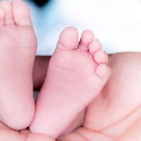  好听的名字婴儿取名测试