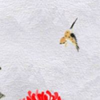 车牌尾号4真的不好吗 车牌号码的幸运值分析