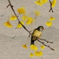 车牌号16结尾好不好 能发财的车牌数字组合