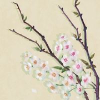 该公司名称以岩石开头开始的三个字的高端氛围