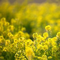 张Xinlong今天的黄道十二宫是2022年4月25日