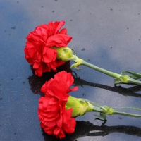 张新龙今天在2022年4月26日的十二生肖