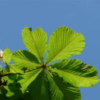 AUN，WitchCloth周星座财富（2022.4.25-5.1）