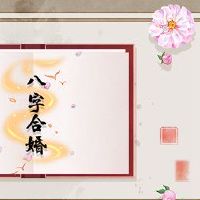 男人的八个角色具有双重妻子生命的男性生活的特征。