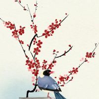 2022年属虎的人佩戴什么吉祥物 琥珀是个好选择