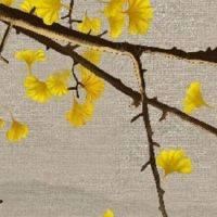 车牌尾数选什么比较好 车牌尾号99怎么样