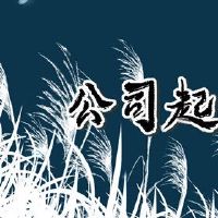 Nice Construction Company Name有虎建筑公司年的名称