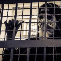 梦想拘留中心怎么样？