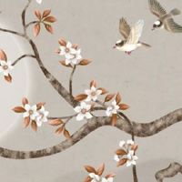 天生掌纹很乱的女生 三角形或三角纹手相