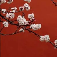 八字里的印代表什么 正印偏印都与运势挂钩