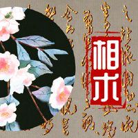 人们的长度在哪里有钱3