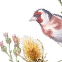 2022年夏至前后生的宝宝名字 旺运势旺财名字推荐