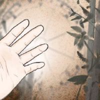 您如何看待婚姻线？