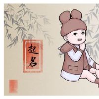 十二生肖老虎男孩叫独特的男孩名字