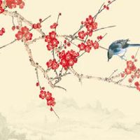 2022年夏至和冬至的日照时间相差几小时几分 气候特征介绍