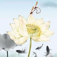 2022年5月4日青年节当日黄历分析?这天是良辰吉日吗?