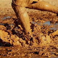 梦见hetai是凶猛还是吉祥