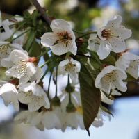不了解女性心脏的四个迹象经常在爱情和受欢迎程度上哭泣，不知道如何撤退