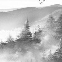 搬家择吉:2022年农历七月十一适宜搬入新房吗