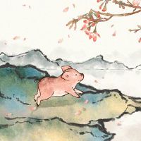 什么是十二生肖十二生肖猪