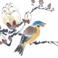 流年夫妻宫武曲天府 武曲天府性格特点介绍