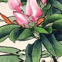 耳朵小无耳垂又贴脑的女人 耳朵小的女人的运势