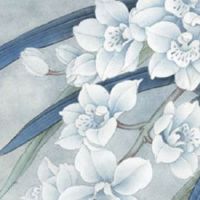 脸小耳朵大的女人面相 生活富贵事业顺利