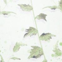 夏至吃什么传统食物 节气 适时食物养生降躁