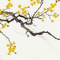 为什么车牌不要47 招财顺口的必选车牌号