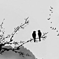 紫微斗数怎样看哪一年结婚 根据不同宫判断结婚年份