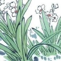 热门新潮旺生意的超市名字 洋气有内涵店面名称